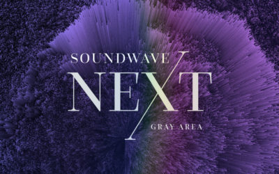 Introducing the 2020 Productions for Soundwave NEXT